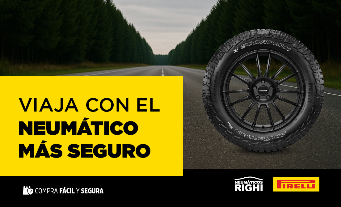 Compra Fácil y segura - Neumáticos Righi